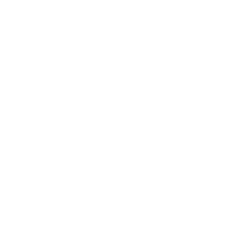 White Logo